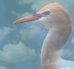 ݂ق₭gbvy[W