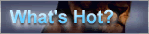 What's Hot?