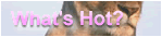 What's Hot?